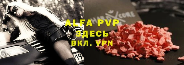 прущие грибы Балахна