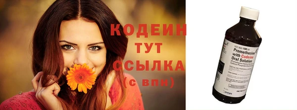 прущие грибы Балахна