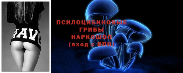 амф Арсеньев