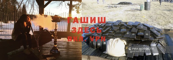 прущие грибы Балахна