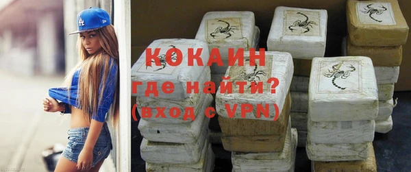 прущие грибы Балахна